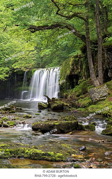 Scwd Ddwli waterfall on the Nedd Fechan River near Ystradfellte, Brecon Beacons, Wales, United Kingdom, Europe