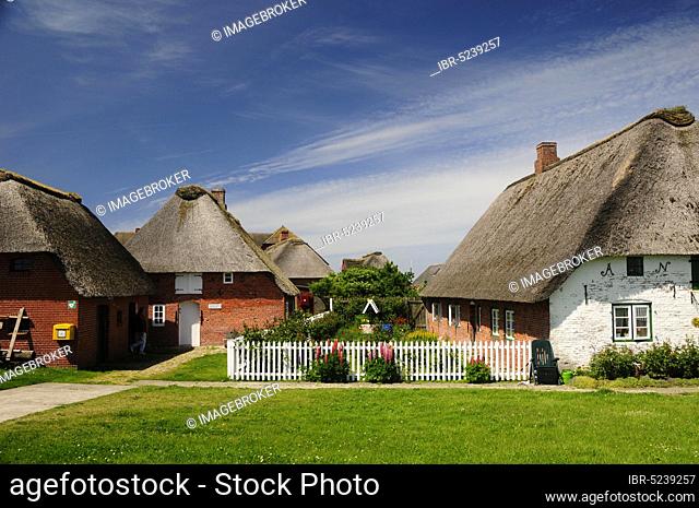 North Sea, Hallig Hooge, dwelling mound, Hallig, Wadden Sea, North Frisia, UNESCO World Heritage, Germany, Europe