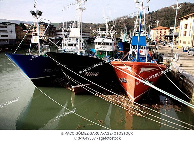 Tuna vessels in the port of Orio  Euskadi  Spain
