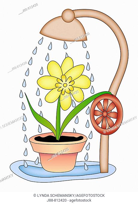 Flower taking a shower