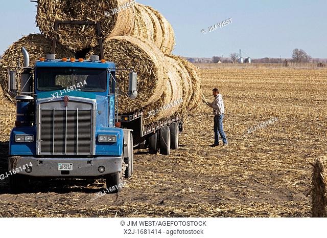 Lexington, Nebraska - A worker loads bales of hay on a truck in a farm field
