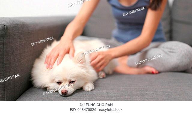 Woman touching on her dog and sitting on sofa