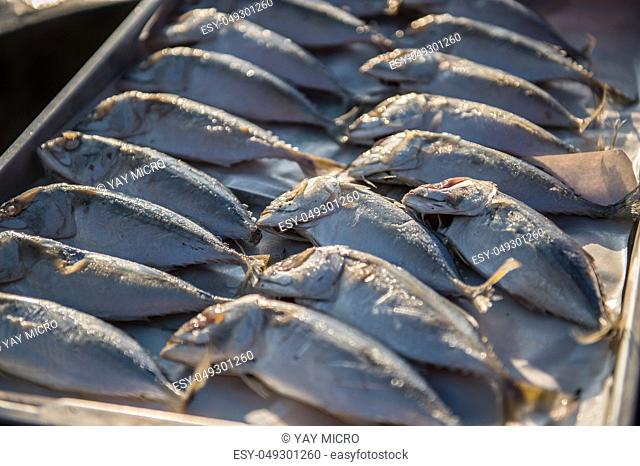 Indian-Mackerel fish closeup of raw food