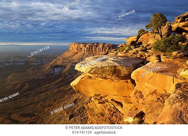 Island In The Sky, Canyolands National Park, Utah, USA. View from Island In The Sky, early morning