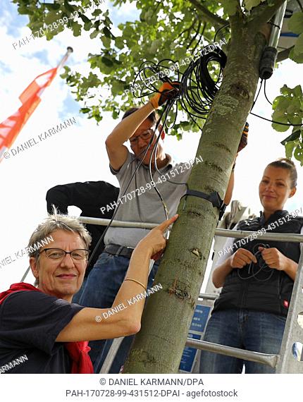 The project manager Susanne Boell (L) of the Bavarian Regional Institute for Viticulture and Horticulture (LWG) stands next to a silver lime (Tilia Tomentosa -...