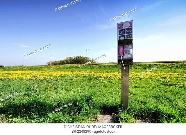 Lonely pay phone on the Elbdeich dike in Kirchwerder, Vier- und Marschlande ladscape, Hamburg, Germany, Europe
