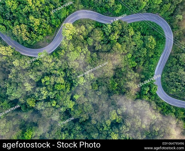 Aerial top view of green forest and highway road. Drone view of green trees and morning fog. Green trees background for carbon neutrality and net zero emissions...