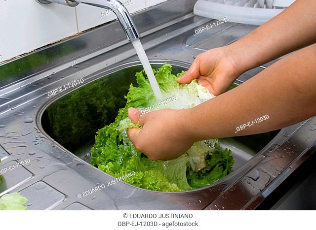 Person, Washing Lettuce, Hands, São Paulo, Brazil