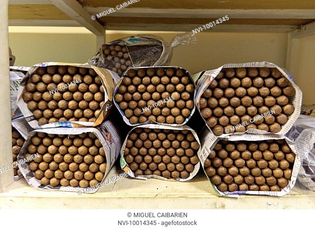 Cigar Storage, Estelí, Nicaragua, Central America
