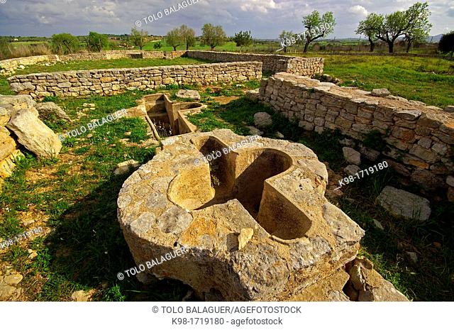 Temple and early Christian village of Son Peretó 5th-8th centuries, Manacor, Majorca, Balearic Islands, Spain