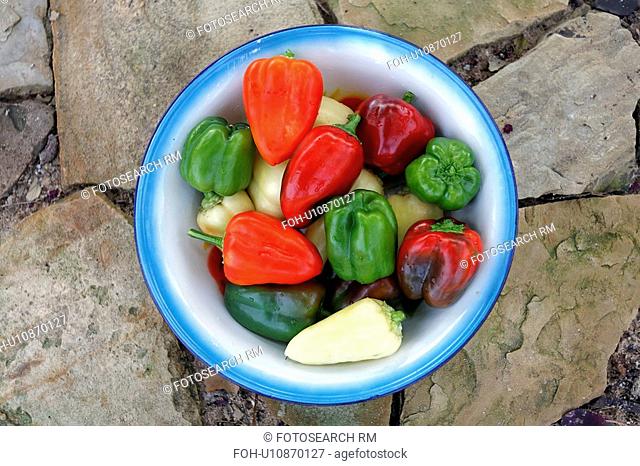 design colored bell peppers health vegetables