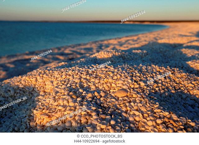 Shell Beach, L'Haridon Bight, western Australia, west coast, coast, Australia, mussels, cockles, beach, seashore, sea, bay, Peron peninsula, sunrise