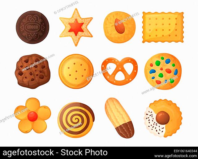 Cookies set. Top view of sweet biscuit and cake. Isolated gingerbread and cracker. Round chocolate shortbread. Butter bakery and pastry