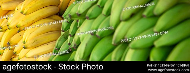 02 December 2017, Curaçao, Willemstad: Yellow and green bananas lie on a stall at a market. Photo: Silas Stein/dpa. - Willemstad/Curaçao