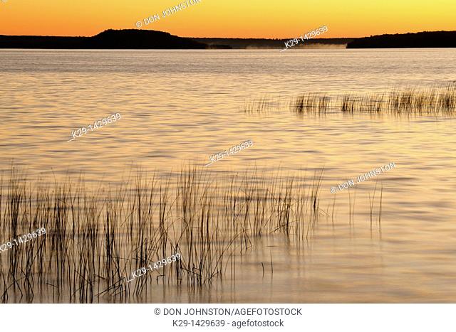 Reedbeds on Lake Mindemoya at sunrise Mindemoya Manitoulin Island Ontario