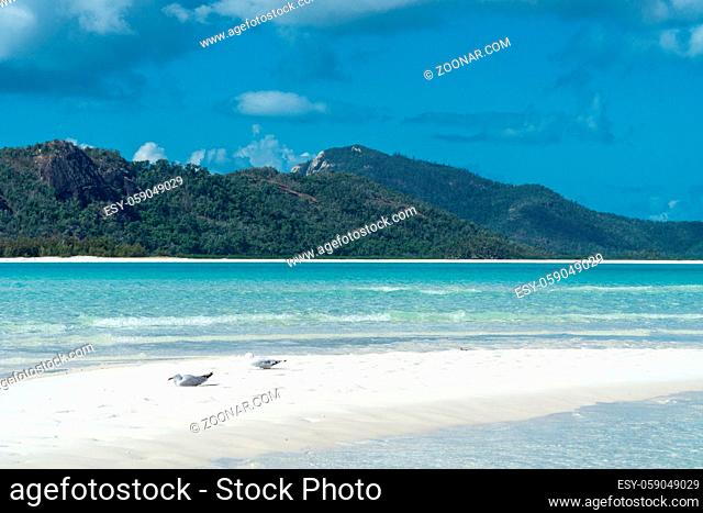 the white beach of the Whitsunday Islands in Australia, which consists of 99 percent quartz sand, and the azure blue sea