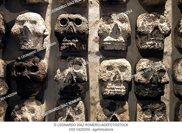 Prehispanic Stone Skulls at Templo Mayor Museum, Mexico City
