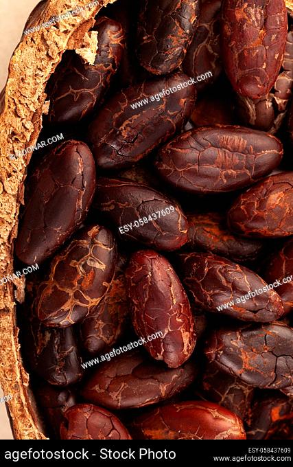 Detail of fresh peeled cocoa beans in a pot from above. Superfood background