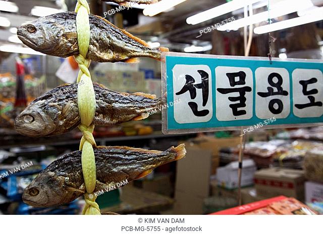 The famous fish market of the harbour city of Busan in the south of the Republic of South Korea