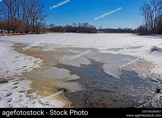 Open Water on a Frozen Lake in the Spring Lake Preserve in Illinois