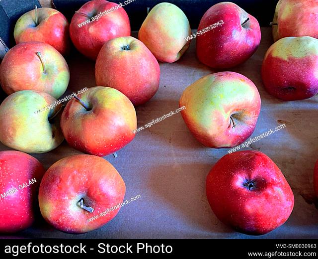 Red apples in a box