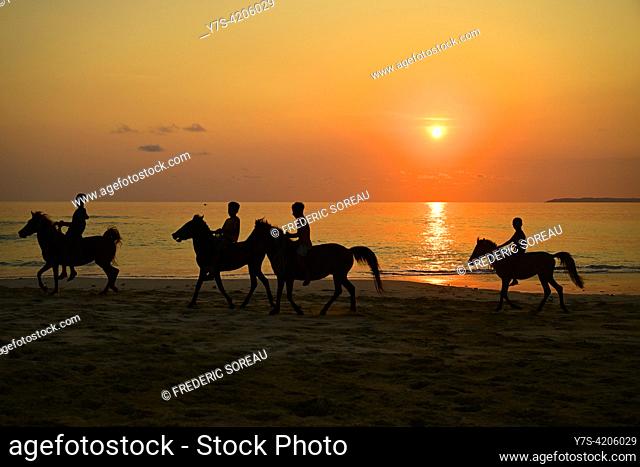 Horses riders on the beach at sunset in Nihiwatu, Sumba island, Indonesia, Southeast Asia, Asia