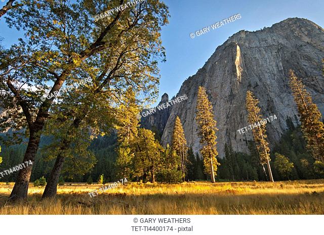 USA, California, Yosemite Valley in autumn