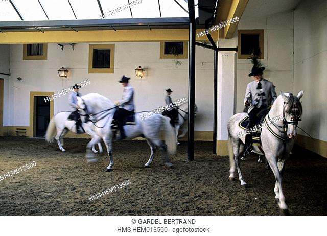 Spain, Andalusia, Jerez de la Frontera, the Royal Equestrian School
