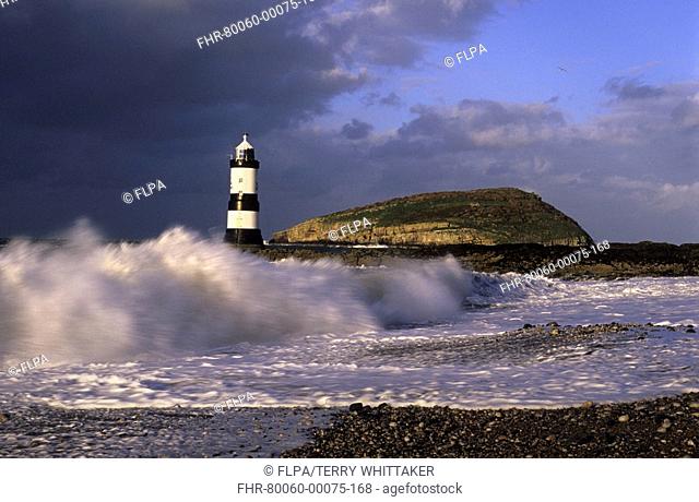 Lighthouse - Penmon Lighthouse and Puffin Island in rough sea, Black Point, Anglesey, Wales