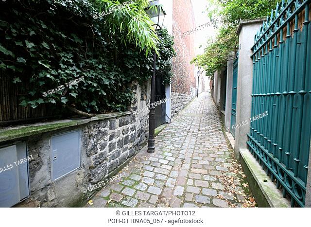 tourism, France, 20th arrondissement of paris, belleville plantin passage, cobbledstones Photo Gilles Targat