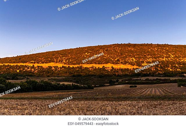Winter morning scene of sunlight touching mountain which small bush cover lavender field after harvesting season in Provence, France
