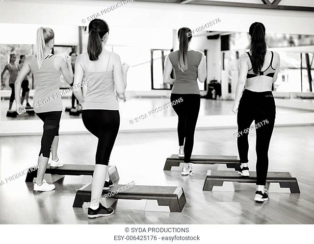 fitness, sport, training, gym and lifestyle concept - group of smiling people doing aerobic
