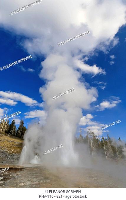 Turban, Vent and Grand Geysers erupt, Upper Geyser Basin, Yellowstone National Park, UNESCO World Heritage Site, Wyoming, United States of America