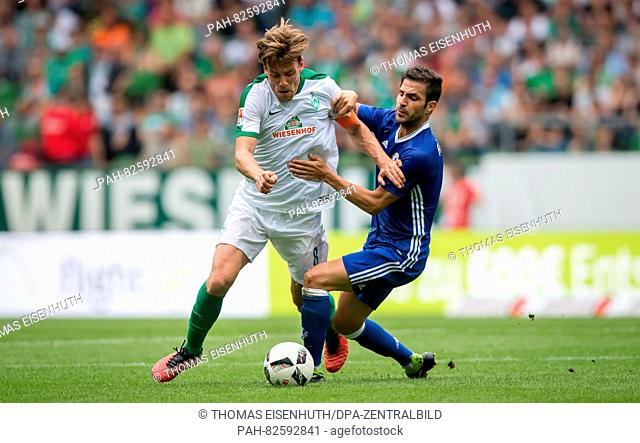 Bremen's Clemens Fritz and Chelsea's Cesc Fabregas in action during a soccer test match between SV Werder Bremen and FC Chelsea at Weserstadion in Bremen