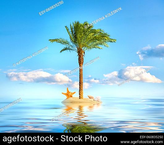 Palm tree on island in the ocean and blue sky