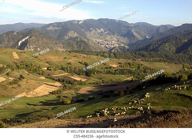 Rhodopes mountain range. Bulgaria