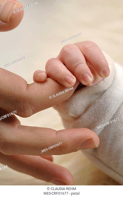 Germany, Bavaria, Munich, Baby boy 3 weeks holding finger, close up