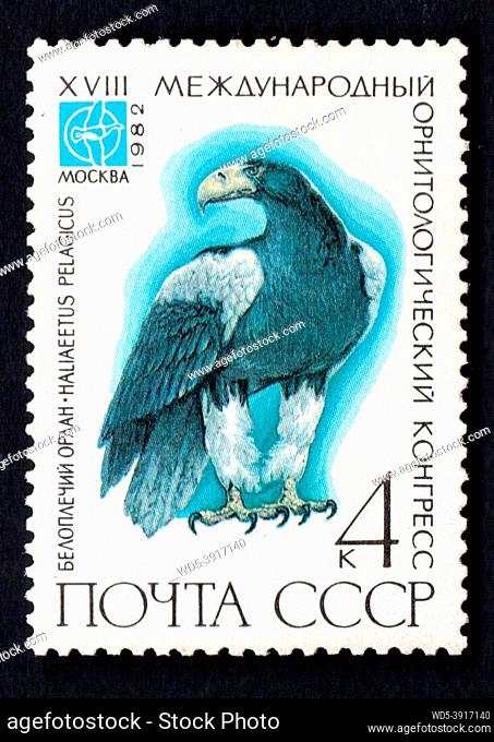 USSR - CIRCA 1982: stamp printed by USSR, shows bird black crane, devoted 18th Ornithological Cong. Image of Haliaeetus pelagicus