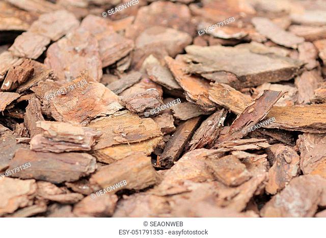 the Wood chips for a biomass combustion