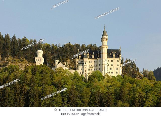Schloss Neuschwanstein castle, Allgaeu region, Bavaria, Germany, Europe