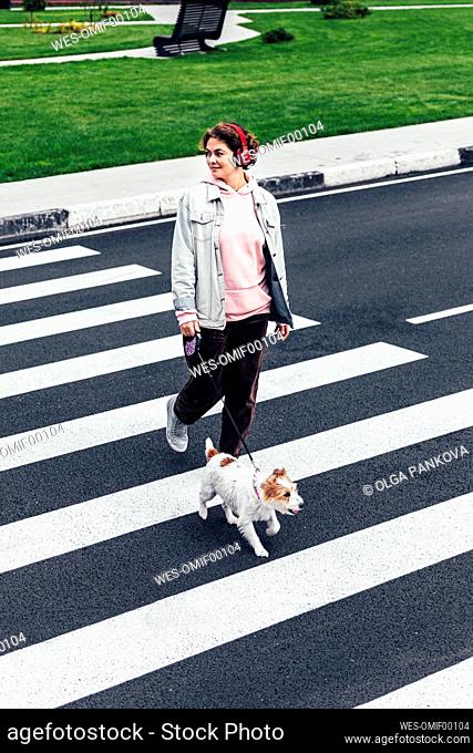 Smiling woman with Jack Russell Terrier crossing road