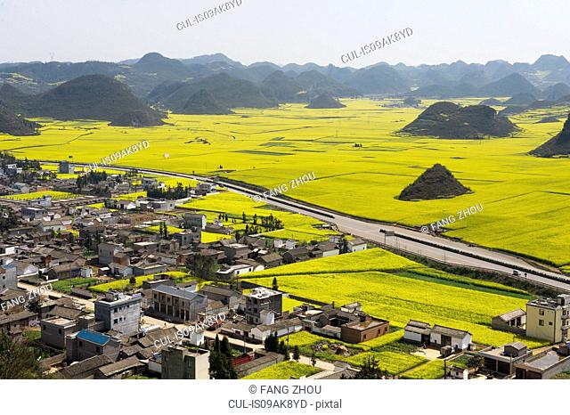 Village and highway next to fields with yellow blooming oil seed rape plants, Luoping, Yunnan, China