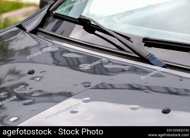 Bumped car engine hood after heavy storm as extreme weather and fallen trees and hail damage shows car insurance needs for auto repair and weather insurance for...