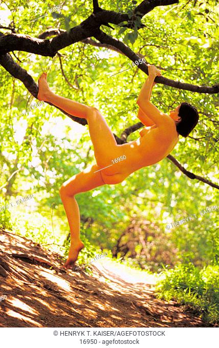 Naked woman climbing tree