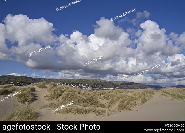 Sand dunes, grass and pebbles by the beach in Ynyslas at the Dyfi estuary, near Borth and Aberystwyth, Ceredigion, Wales, UK