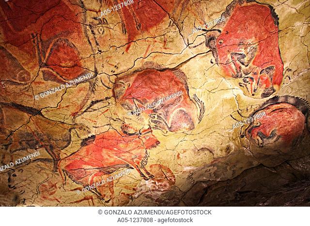 Bisons in Altamira's reproduction cave Neo Cave  Upper Paleolithic cave paintings  Altamira museum  UNESCO World Heritage Santillana del Mar  Spain