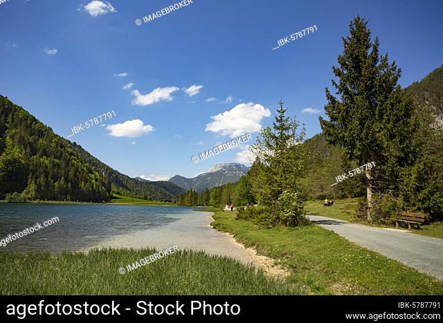 Mountain lake, hiking trail around the lake, Pillersee, behind it Steinplatte, Sankt Ulrich am Pillersee, Pillerseetal, Tyrol, Austria, Europe