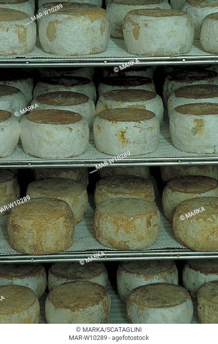 italy, molise, san giuliano del sannio, factory of de nigris, cheeses