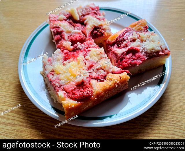 Homemade strawberry pie in Tetin, Czech Republic, June 9, 2023. (CTK Photo/Marek Spilka)