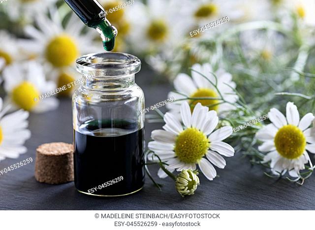 A drop of dark blue chamomile essential oil is being dropped into a bottle, with fresh chamomile flowers in the background